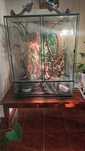 terrarium  100/80/60 z wyposażeniem ,z lampami