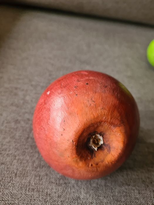 8 frutas tropicais decorativas