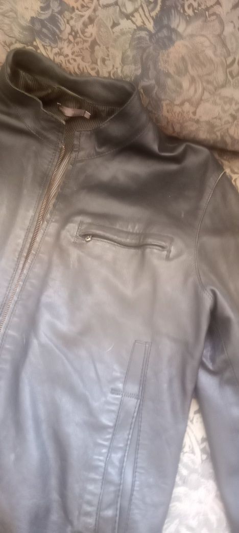 Casaco de pele  Sprinfield.   em um fecho novo. Para homem não tem ras