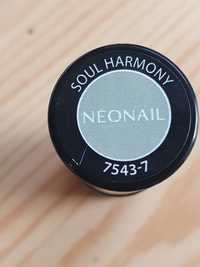 Neonail kolekcja dreamy shades 7543-7