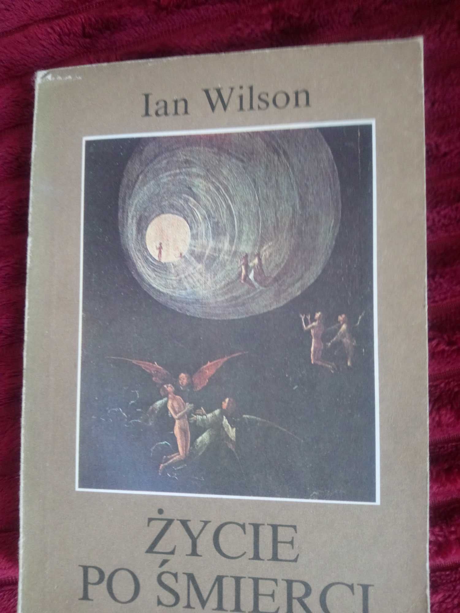 Życie po śmierci Ian Wilson