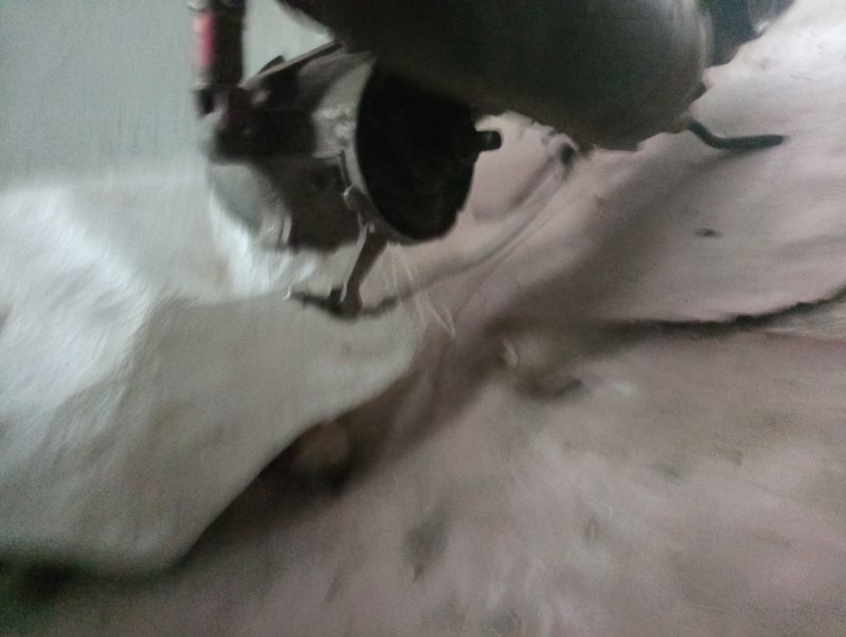 Продам ямаху срочно