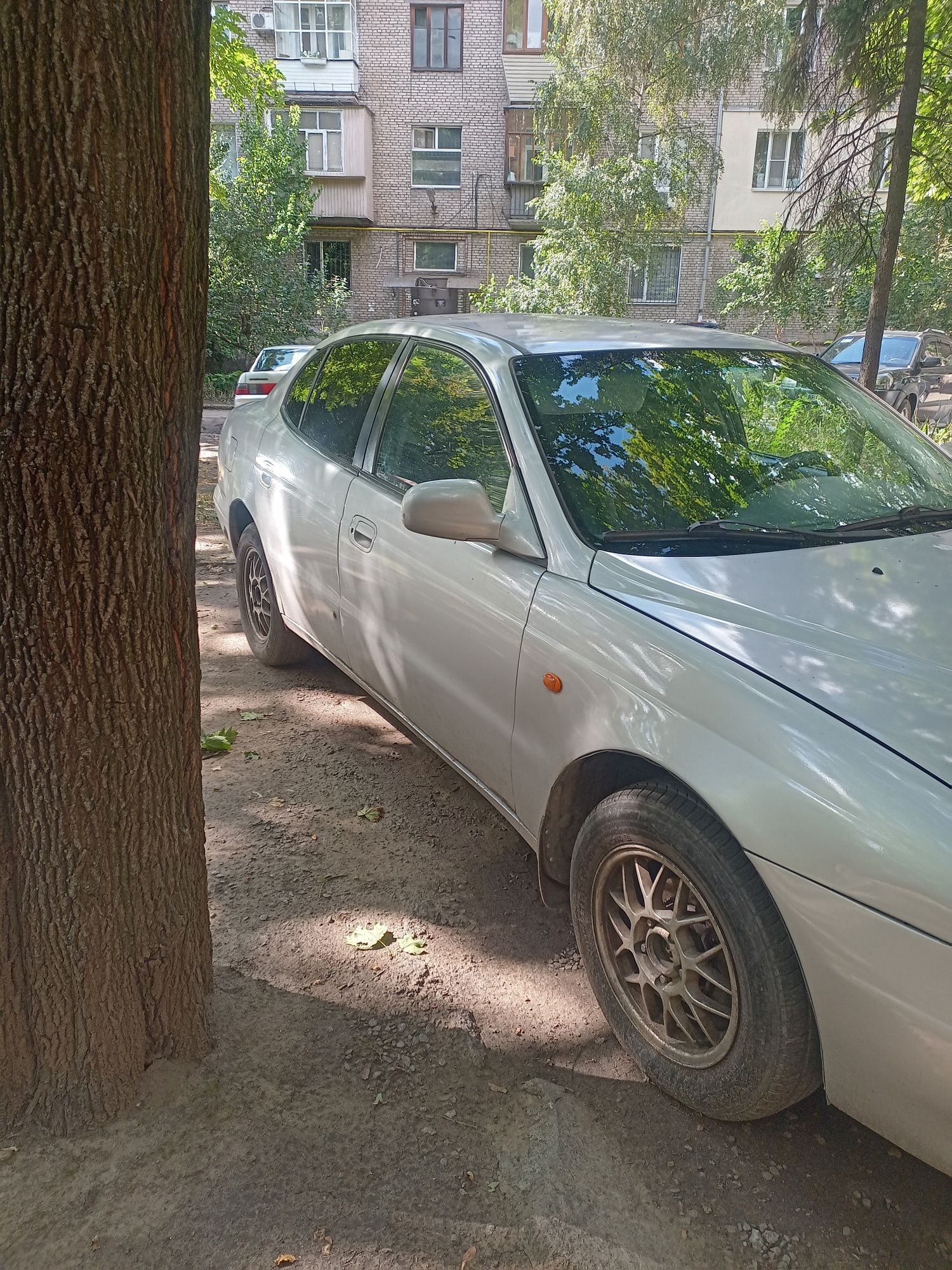 Леганза у гарному стані