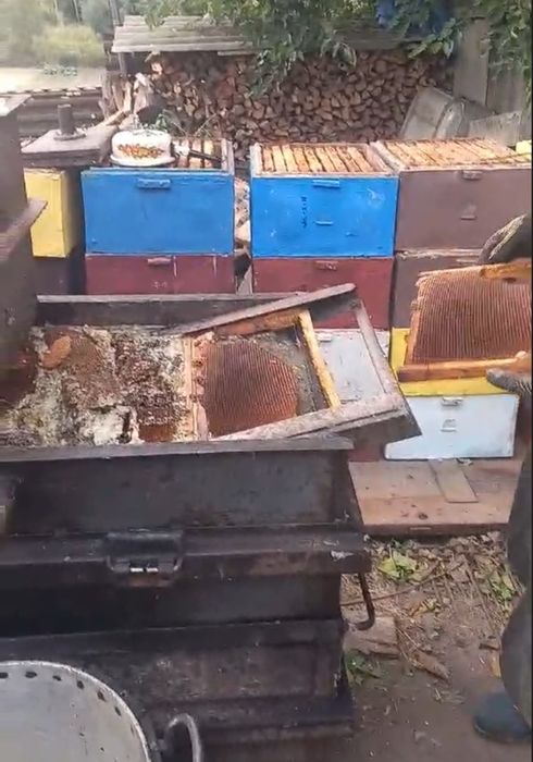 Парова Воскотопка