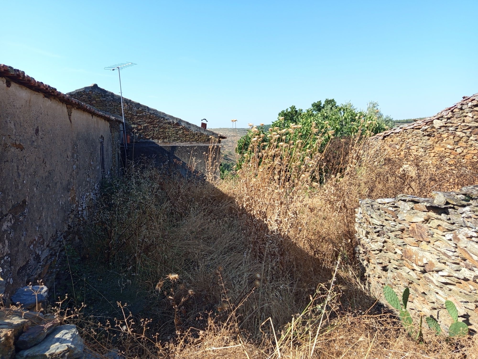 Vendo uma casa em mós Moncorvo