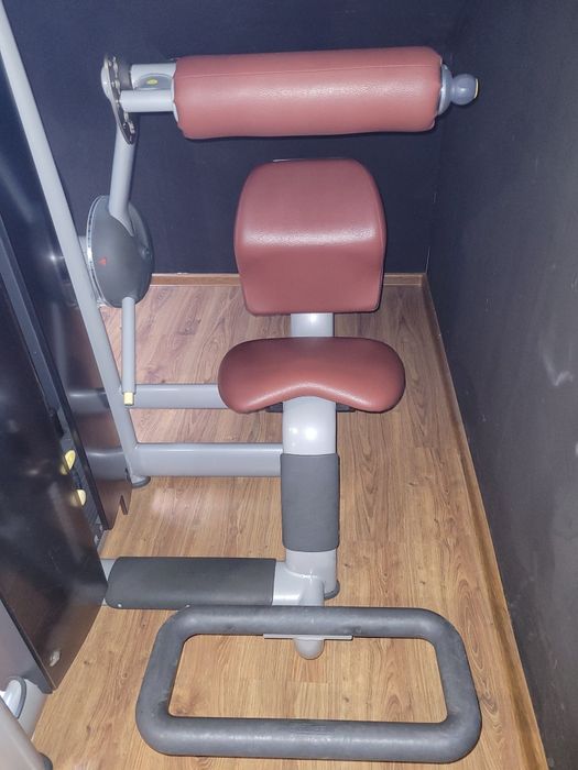 TECHNOGYM maszyna na prostowniki grzbietu