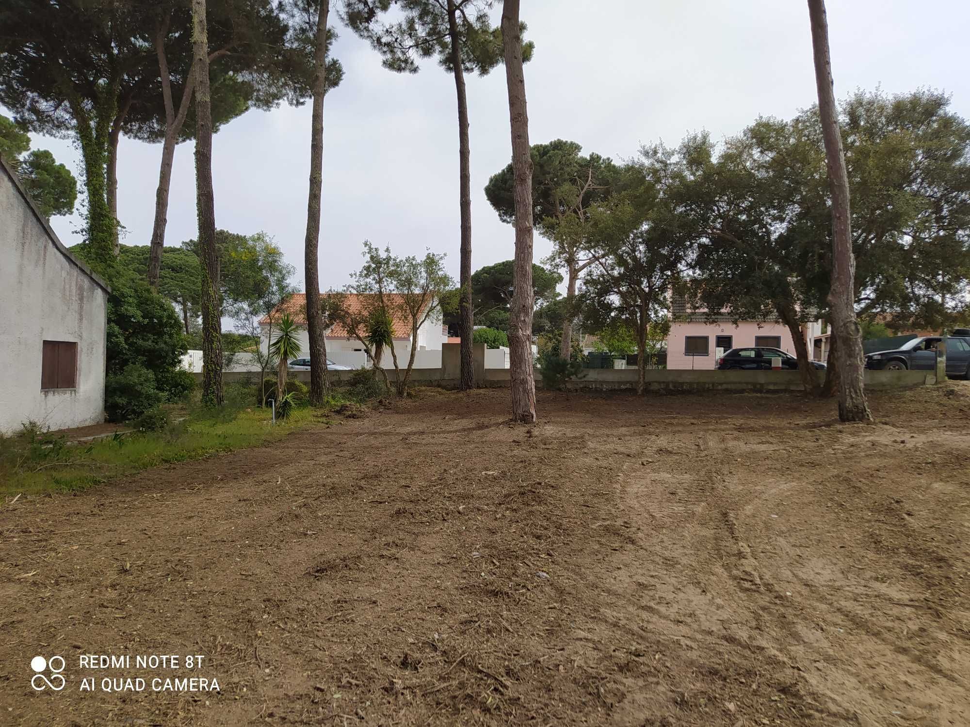 Limpeza de terrenos e matas florestais e agrícolas e poda de árvores