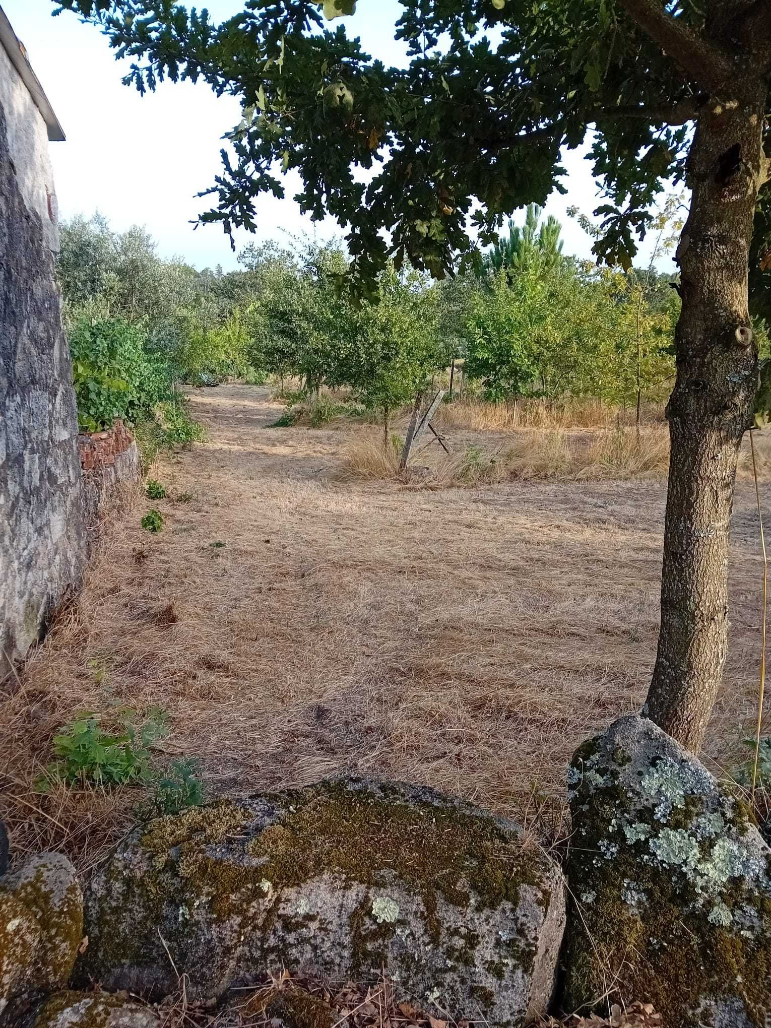 Terreno rural Boa Aldeia