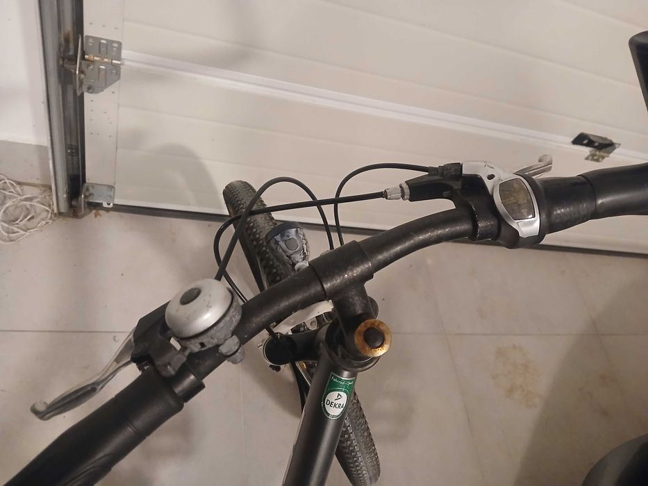 Rower Pegasus Avanti 24 cale