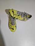 Vendo chuteiras Puma