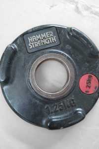 Obciążenie ogumowane Hammer Strength 1,25 kg - 1 sztuka