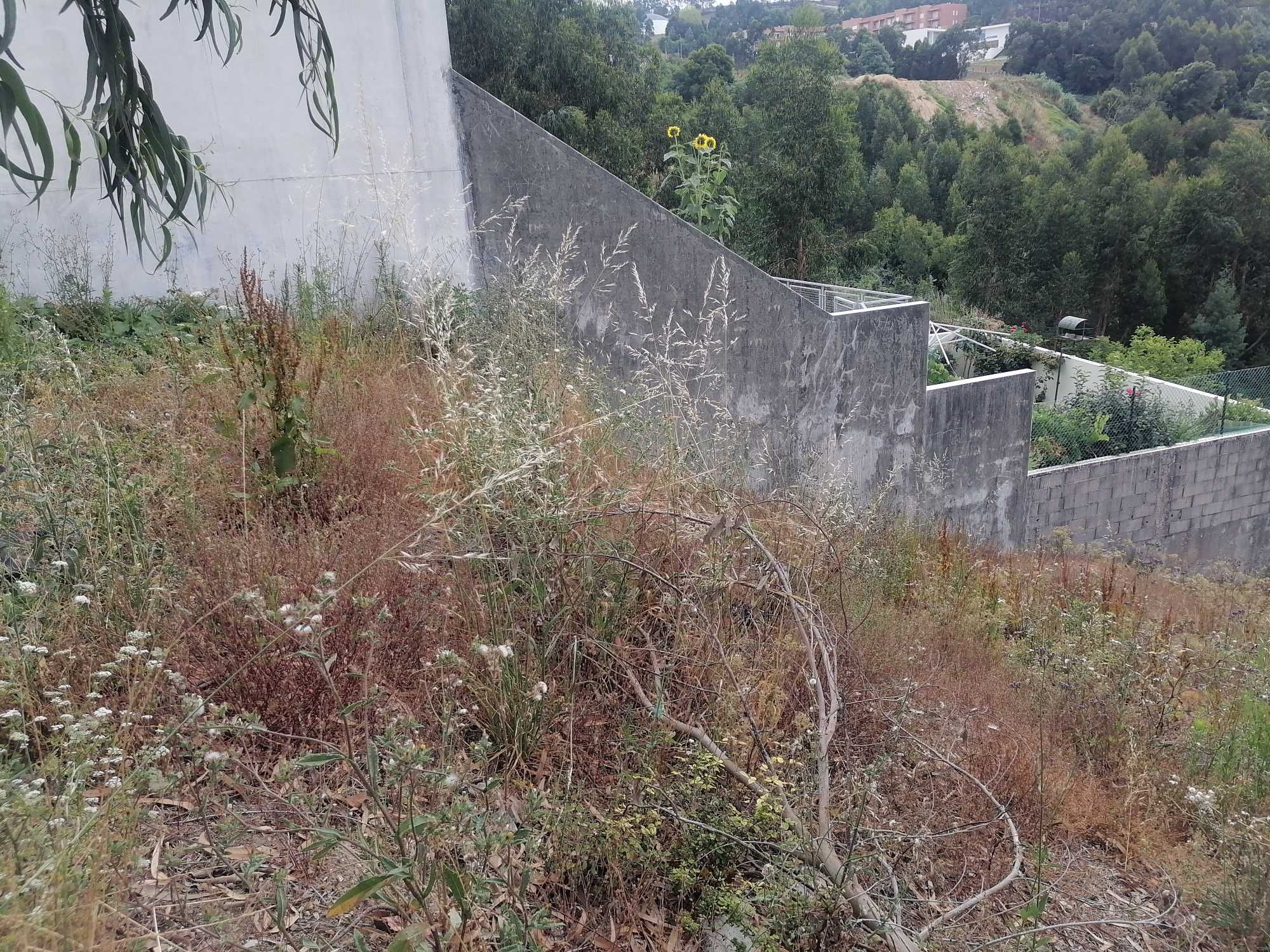 Terreno para Moradia 3 frentes