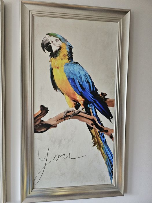 Obrazy duze 100cm na 62cm