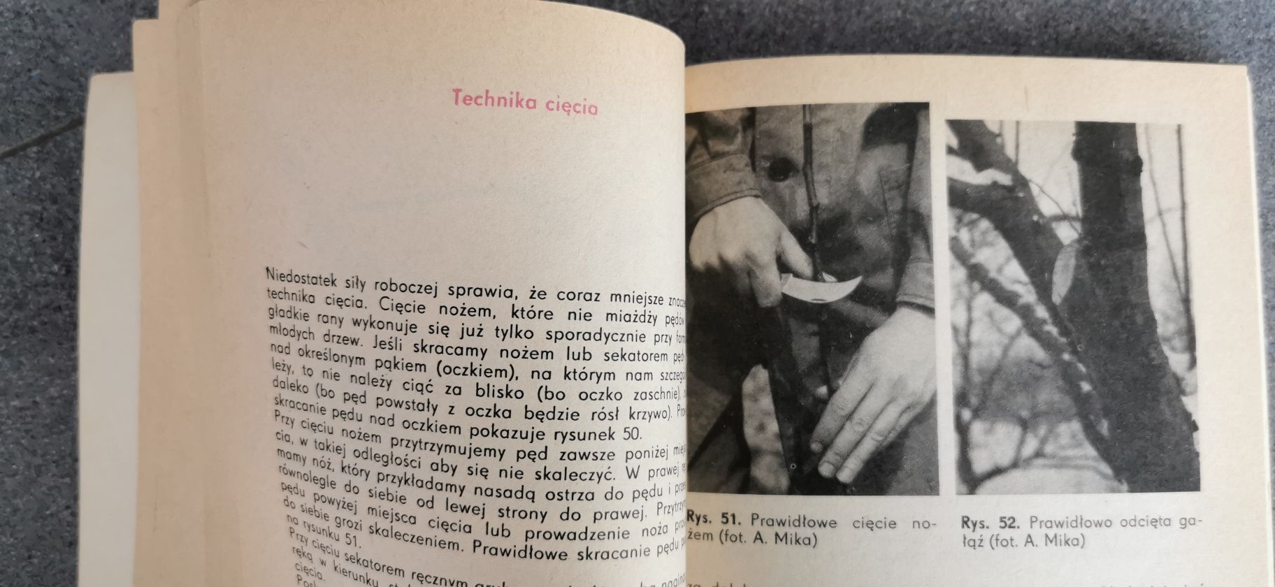 Cięcie drzew i krzewów owocowych Augustyn Mika
