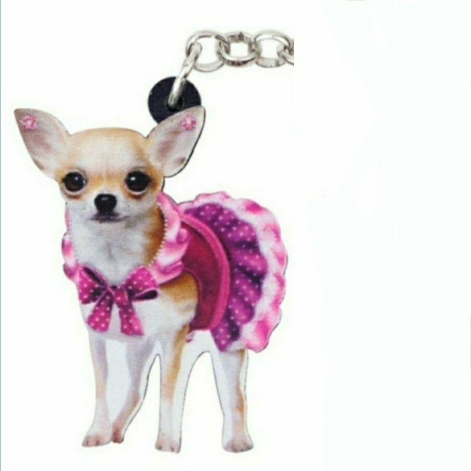 Porta chaves Chihuahua.