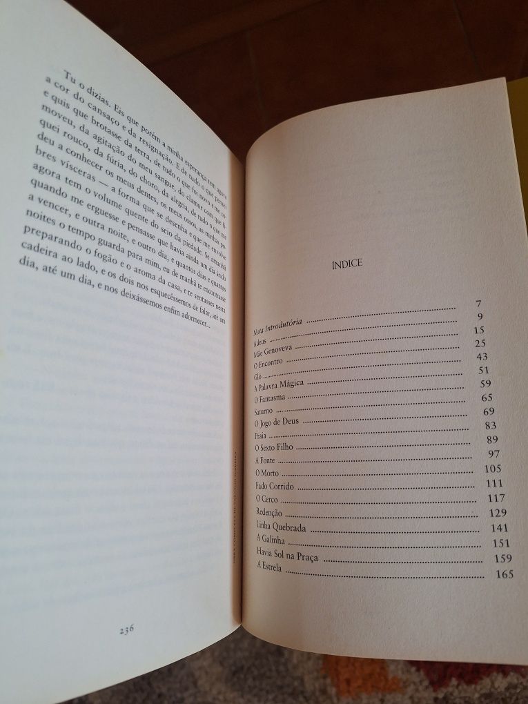 Livro Novo Vergílio Ferreira-Contos