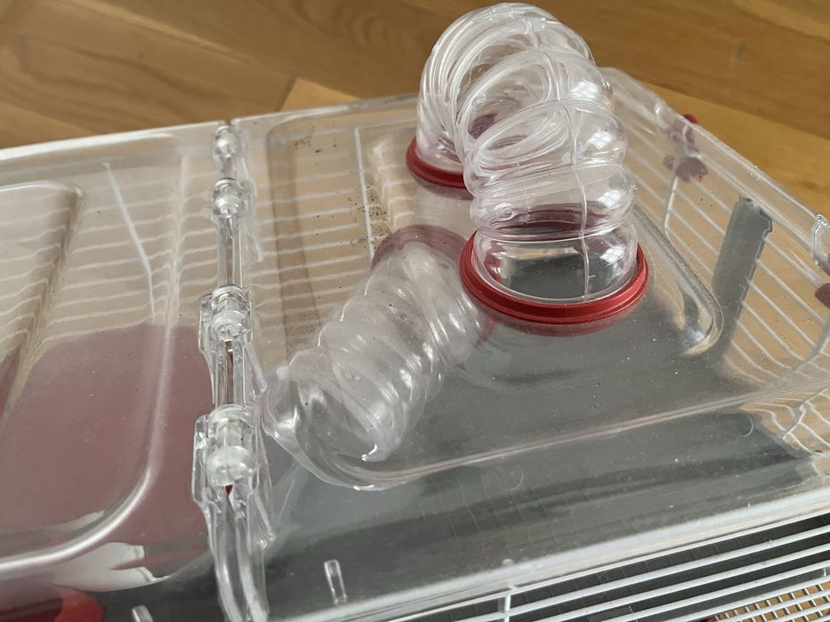 Gaiola para hamster com acessórios de oferta!