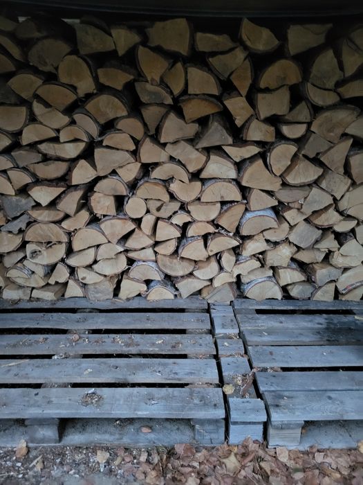 Drewno drzewo opałowe suche