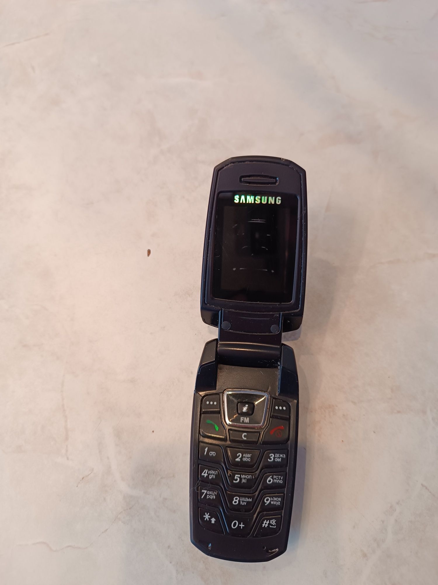 Мобильный телефон Samsung SGH-X300