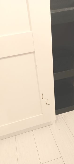 Szafa PAX Ikea 100x35x200 biała
