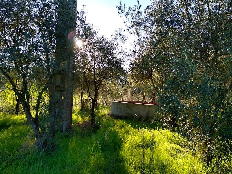 Tereno Cavadas 2,840 M2 Grandes Oliveiras, Poço com muro e Canalização