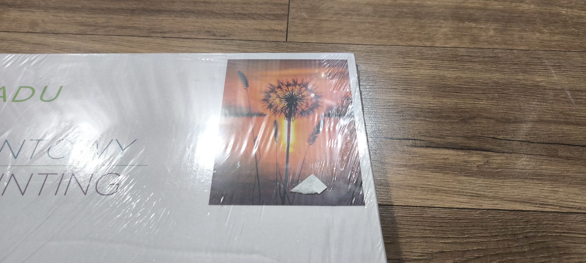 Haft Diamentowy 40x50 dmuchawiec Empik Creadu