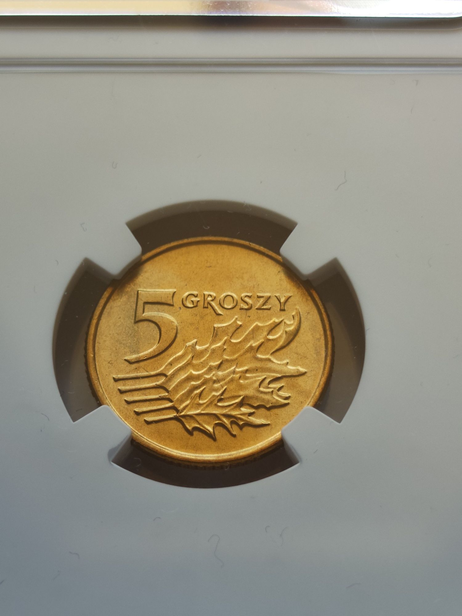 Moneta 5 groszy 1993 rok NGC MS66 rzadka