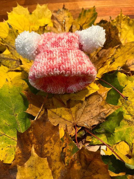 Czapka dla małego psa