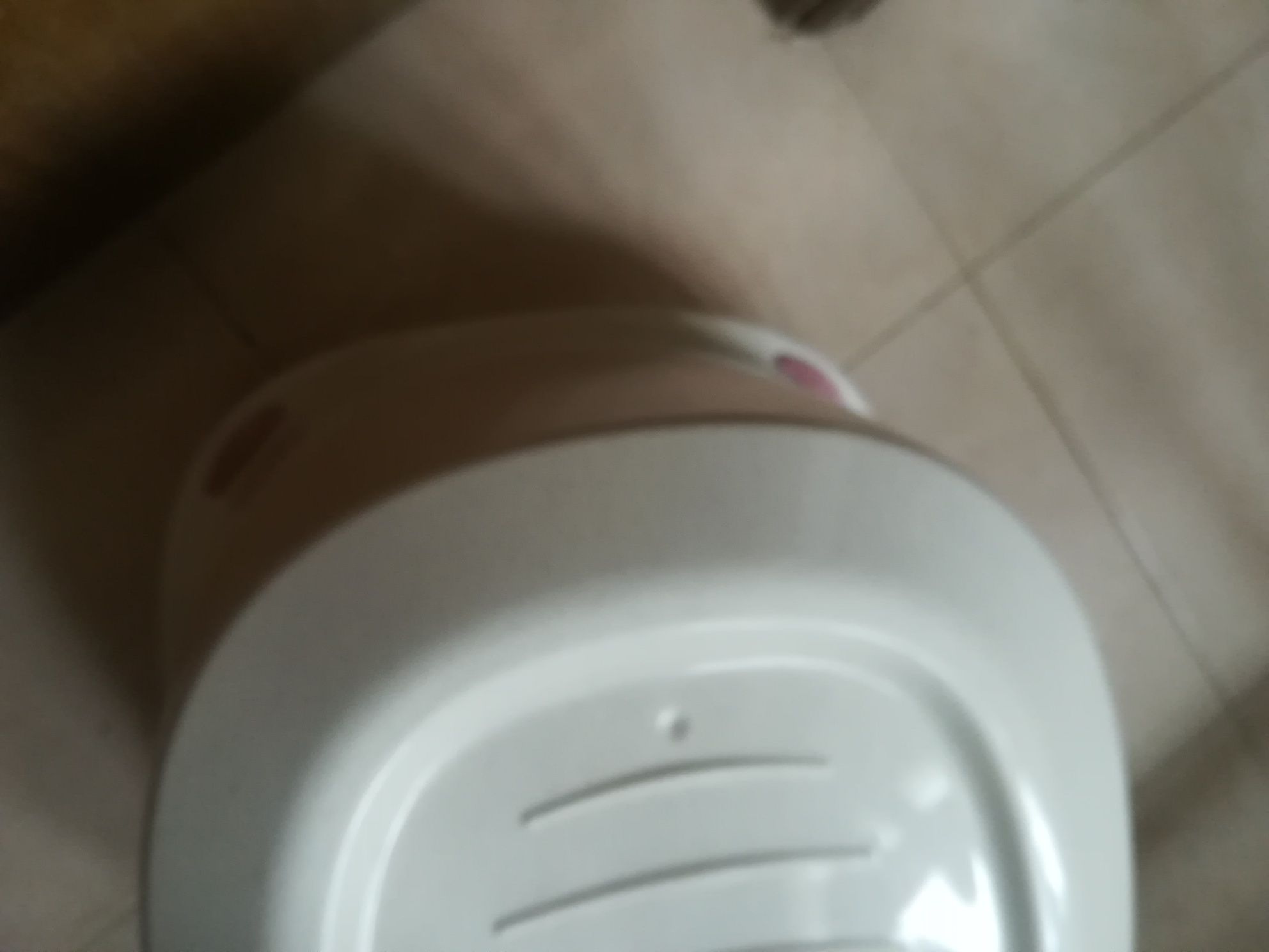 WC de Gatos     .