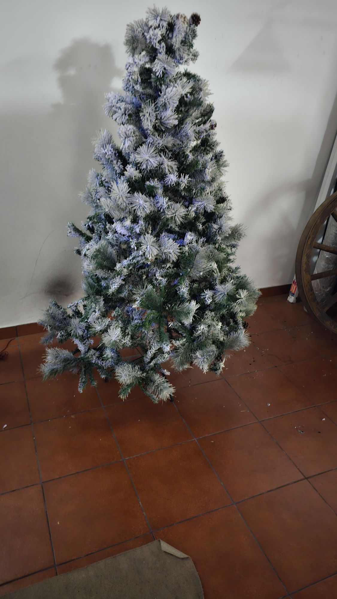 Árvore de natal com neve