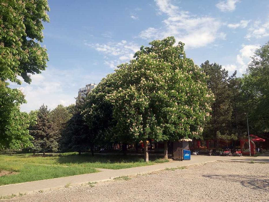 Вилика однокімнатна квартира быля парку, підходить під Е-Відновлення