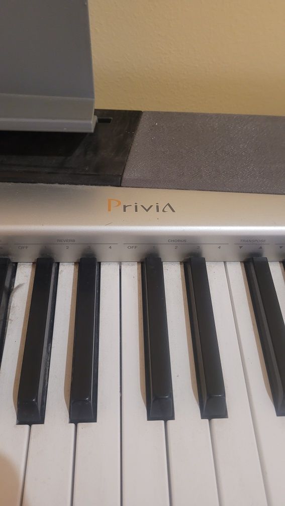 Електронне піаніно Casio Privia PX-120
