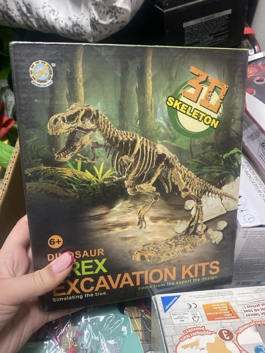 T-rex dinozaur szkielet 3d wykopaliska