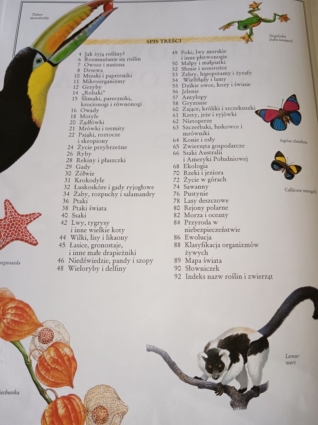Ilustrowana encyklopedia przyrody