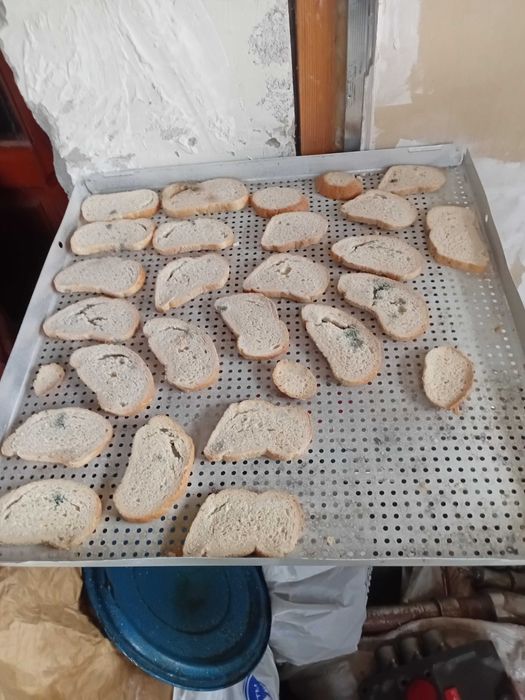 Сушка фруктів ..овочей.піддони