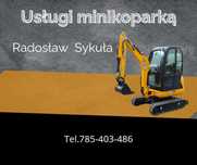 Usługi minikoparką JCB 8020