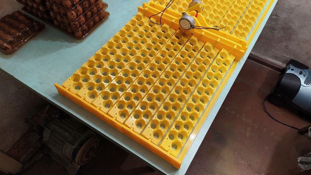 Лоток для автоматичного перевороту перепелиних яєць в інкубаторі