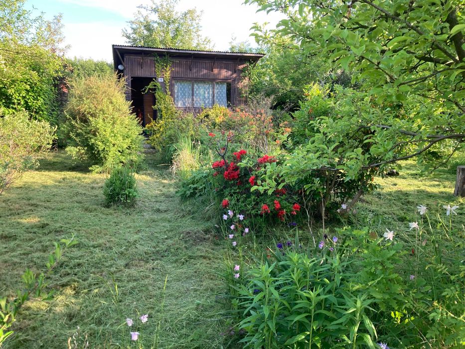 sprzedam działkę rekreacyjną w ROD w Wadowicach ("Ogród Daniela")