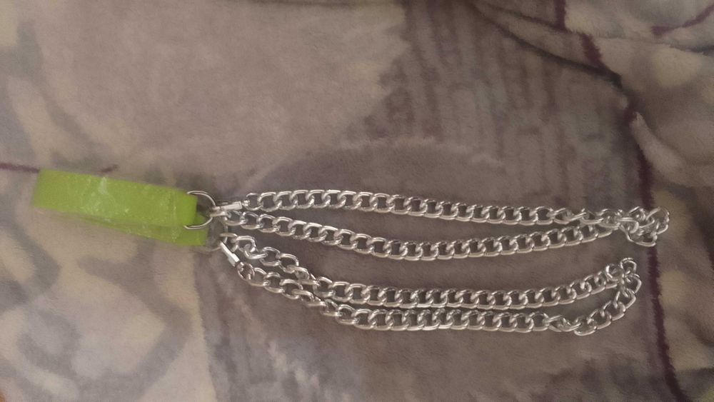 Повідок та ошийники