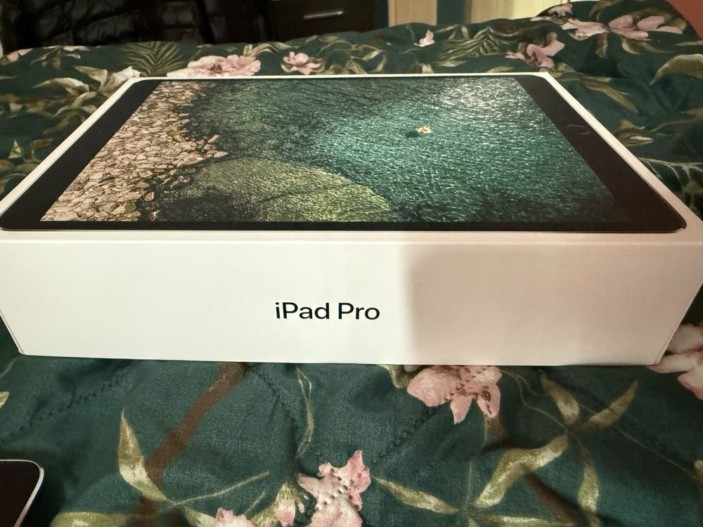 Ipad Pro 10,5 256 GB