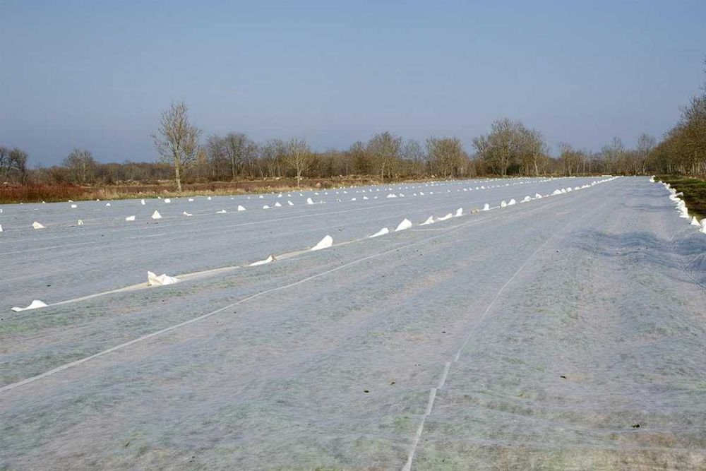 Agrowłóknina truskawki ogórki 4,2m WB 23g POL Różne Wymiary Hurtownia