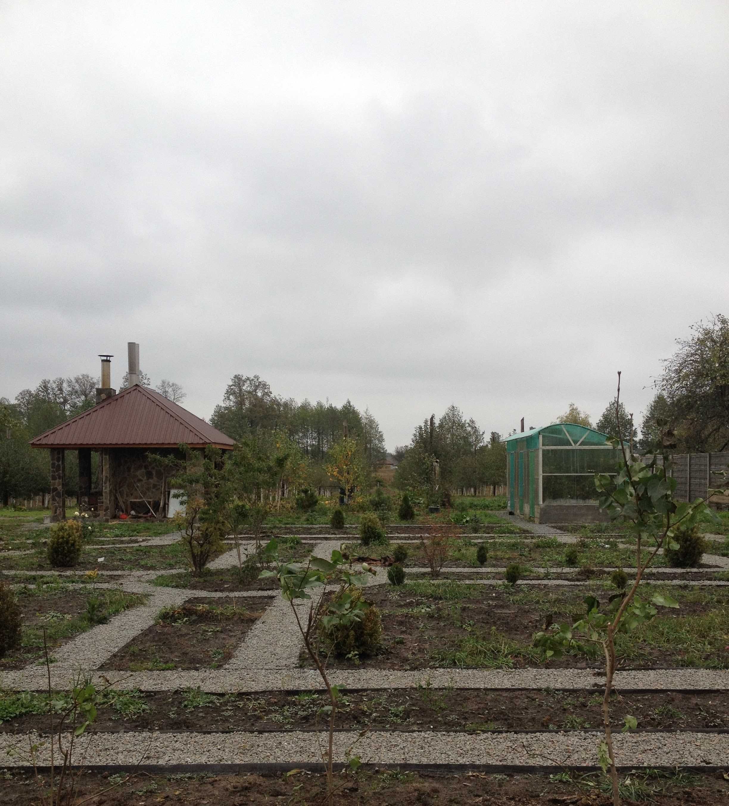 с.Ясногородка Вышгородский р-н