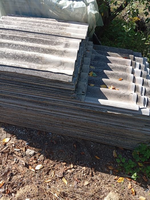 Шифер бу коньки бу