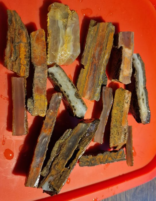 Duży zestaw przeciętych agatów z Polski minerał