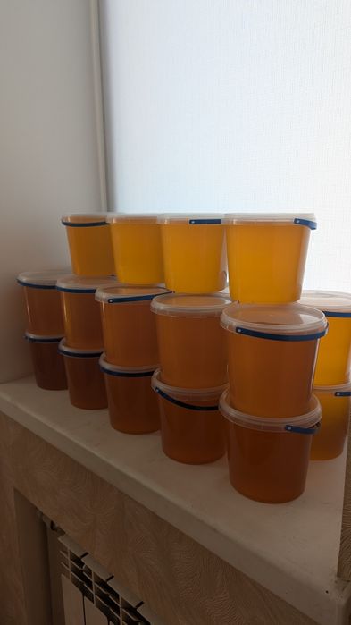 Мед Різнотрав'я+Соняшник 2025