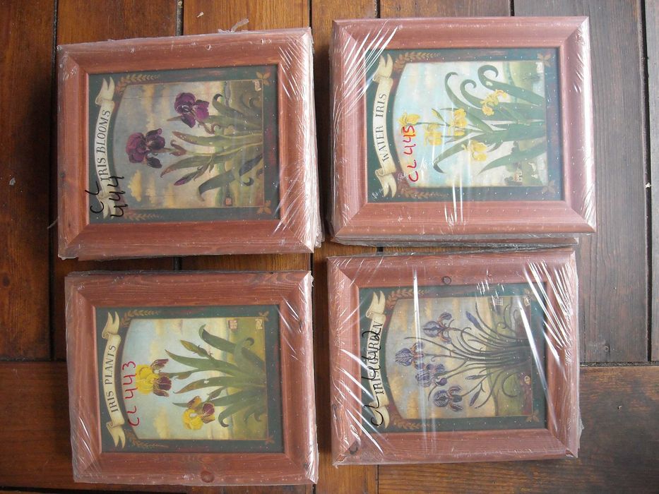 Quadros antigos rusticos vintage gravuras flores e frutos NOVO