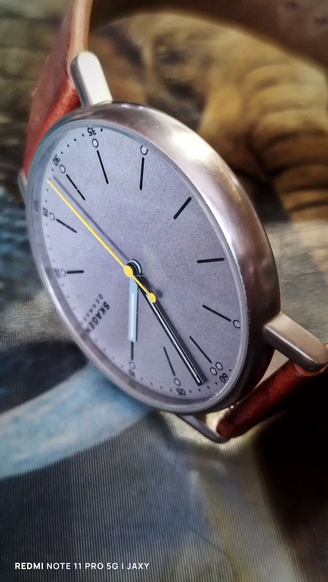 Zegarek męski Skagen