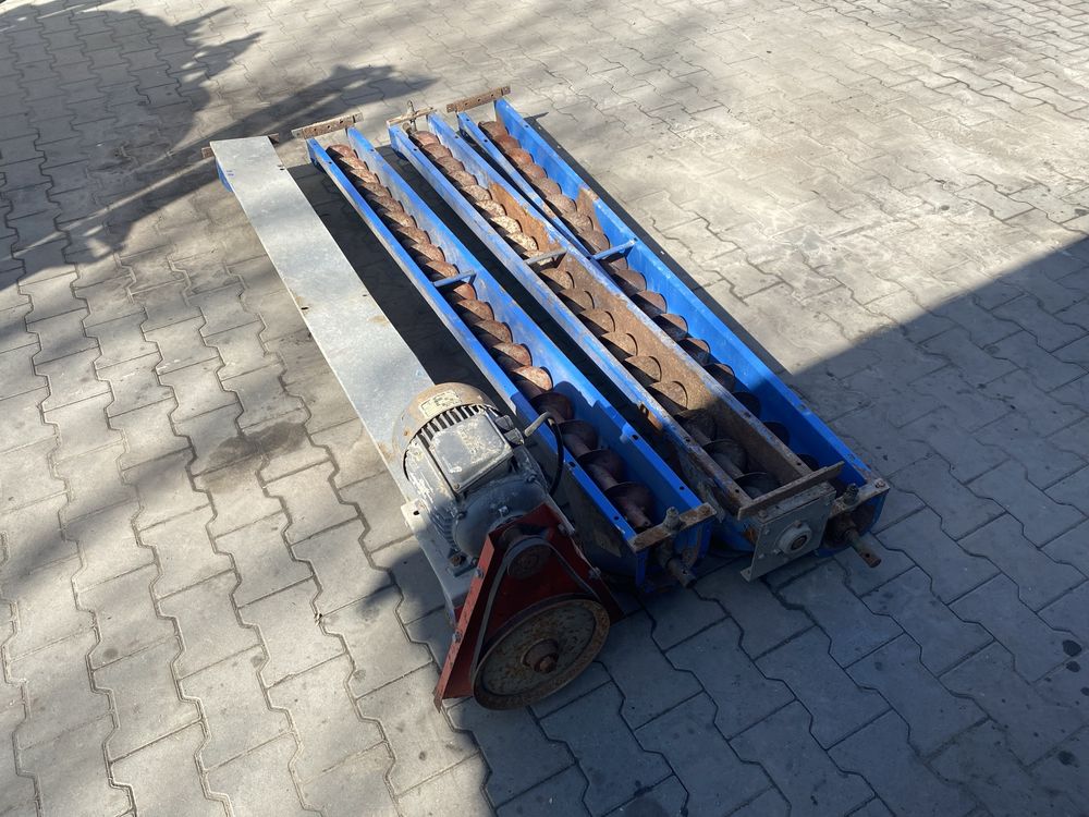 Żmijka korytowa Kongskilde 8 m