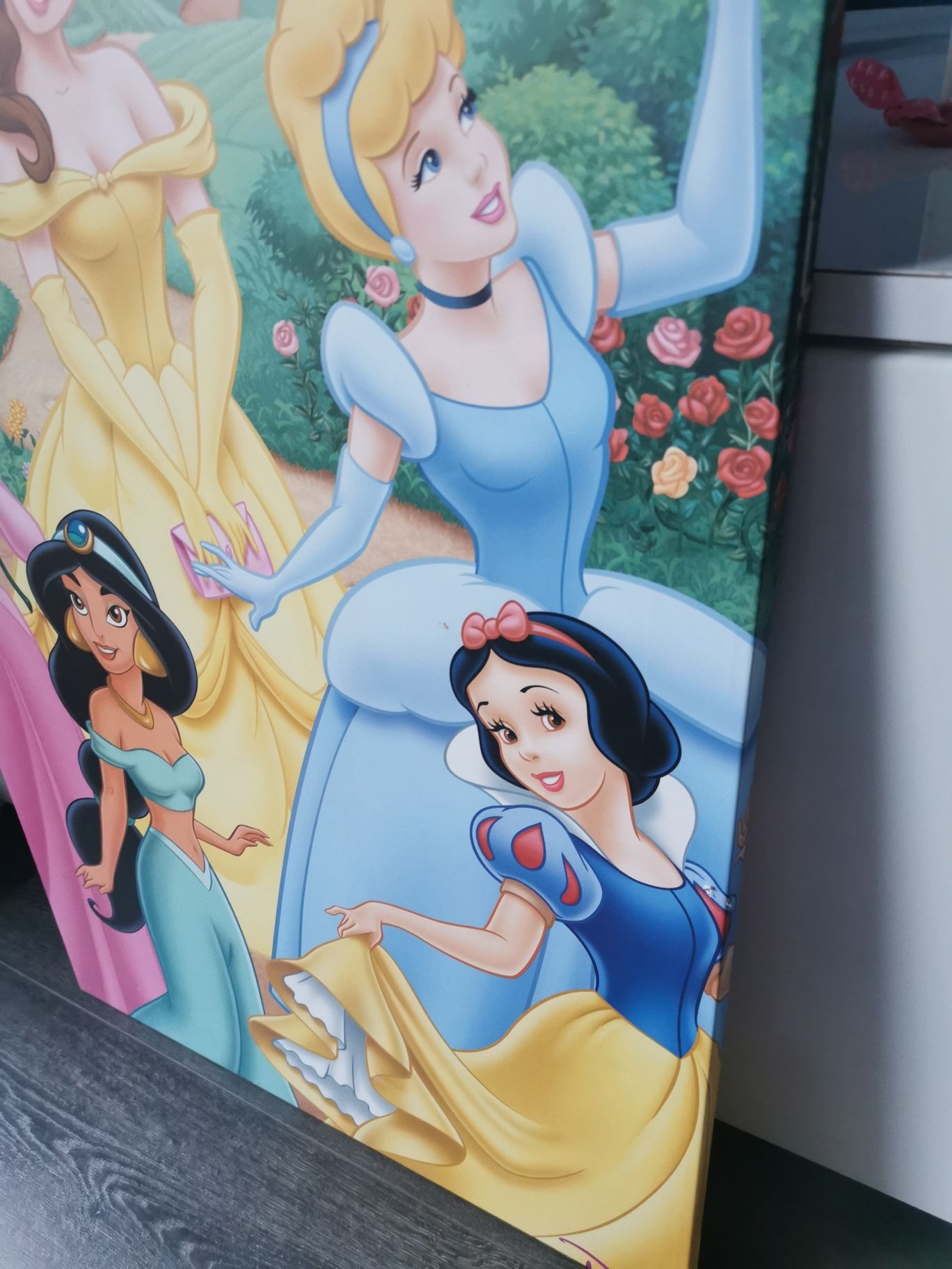 Obraz do pokoju dziecięcego księżniczki Disneya 50x80