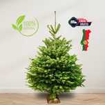 Arvore de Natal Natural | Envio Gratis PT | Pinheiro de Natal Natural